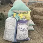 خبز للبيع