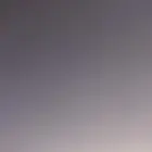 ابي كلب للتبني او كلبه بالخرج