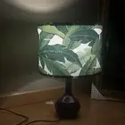 ابجورة بطربوش جديد