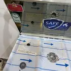 بوتقاز ماركه فريش جديد لم يستخدم