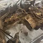 جميع الموديلات