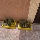 علب قزاز قديمه للبيع