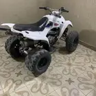 دباب زد 250