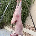 معلم مشويات شوي خارجي