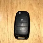 ريموت كيا حق الوكالة