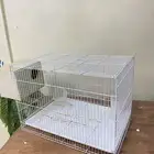 قفص
