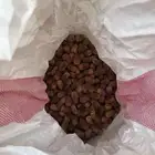 خبز ناشف