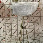 روز أخضر ماشاءالله