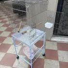 قفص طيور للبيع