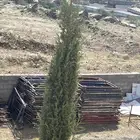 سقاله للاجار خميس مشيط ابها وضواحيها