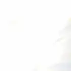 كداد ماشي للرياض