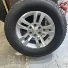 جنوط تاهو اصلي معا كفرات