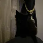 قطه انثى شيرازيه عمرها اقل من شهر للتبني