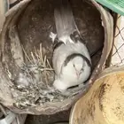 للبيع حمام