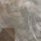 مطلوب معزاء حليب