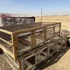 شبوك صوص وارانب