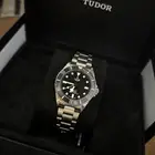 تيدور ( Tudor pelagos )