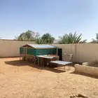عشه