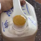 عسل السدر العصيمي الملكي درجه اولى