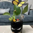 باتمان البوتس