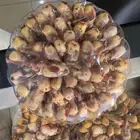 برحي بواجي. لللبيع دخل محلي شحيمي