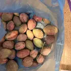 لوز طازج