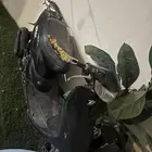 دباب بطه