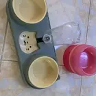 ليتر بكس قطط ومشربيه