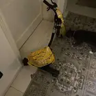 اسكوتر كهرباء