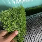انجيله وطني وصيني بالجمله
