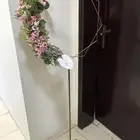 ستاند مناسبه جاهز بالورود