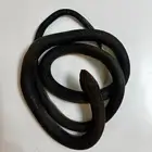 ثعبان بلاستيك طويل