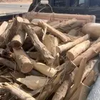 تنك الوطني يابس