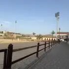 إيواء خيل في اسطبل ستي هورس