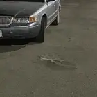 فورد 1999