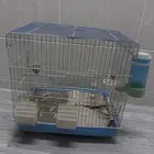 أقفاص عصافير للبيع