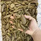 عود مروكي بيور
