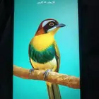 جوال ZTE Blade A35e