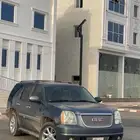 دينالي 2007