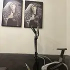 جهاز الغزال الطائر  صورتين الخيل