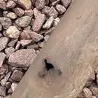ماصوره هايلكس