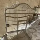 قفص مكاو كبير جدا