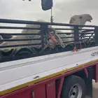 دنا هيدروليك