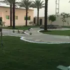 نجيله طبيعي ثيل طبيعي