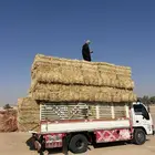 تبن بر صافي