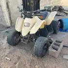 دباب