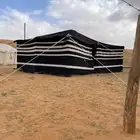 الزلفي