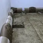 مجلس ارضي
