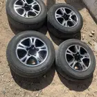 جنوط فراشه مكحله