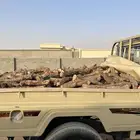 حطب خوخ مقصص جاهز فوق مسح الحوض